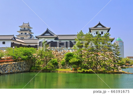 【愛媛県】晴天下の今治城 【愛媛県】晴天下の今治城 66391675