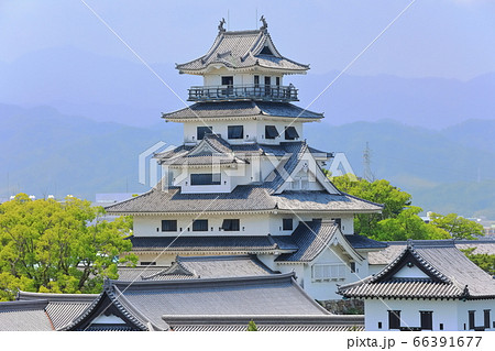 【愛媛県】晴天下の今治城天守閣 【愛媛県】晴天下の今治城天守閣 66391677