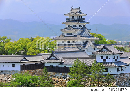 【愛媛県】晴天下の今治城天守閣 66391679