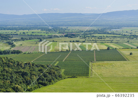 Alazani Valley with its fields and vineyards in Kvareli, a view from a road leading from the plain to Nekresi Monastery. Kakheti Region, Georgia. Alazani Valley with its fields and vineyards in Kvareli, a view from a road leading from the plain to Nekresi Monastery. Kakheti Region, Georgia. 66392235