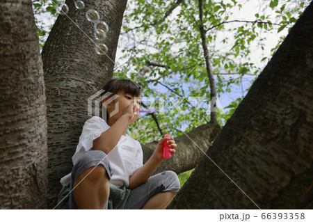 木の上でシャボン玉で遊ぶ幼児(5歳児) 66393358