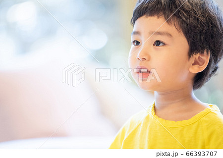 ポートレート 子供 幼児 66393707
