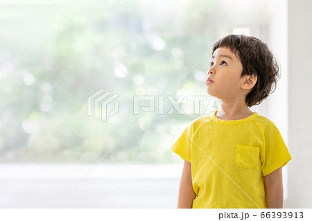 子供 幼児 男の子 66393913