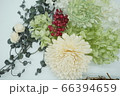夏のフラワー素材 66394659