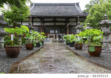 あじさい寺で有名な頼光寺 66395014