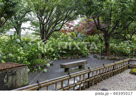 あじさい寺で有名な頼光寺 あじさい寺で有名な頼光寺 66395017