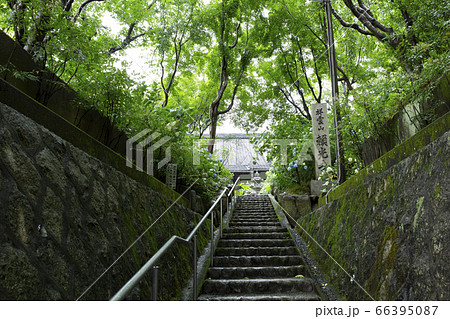 あじさい寺で有名な頼光寺 66395087