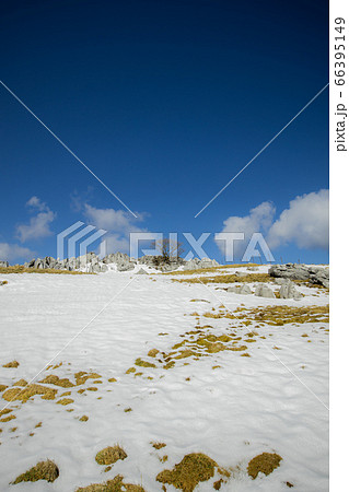 冬の四国カルスト（愛媛県、高知県） 66395149