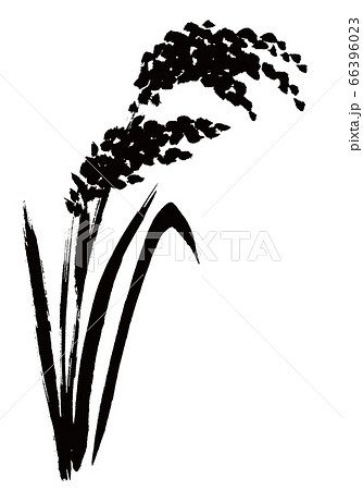 稲穂　水彩画 66396023