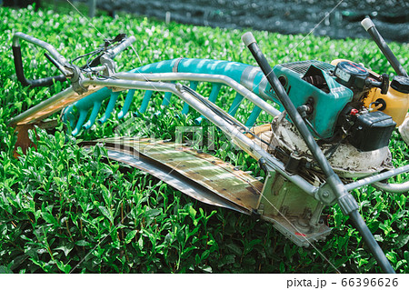 茶葉の収穫用機械 茶摘採機 バリカン カッター 茶葉の収穫用機械 茶摘採機 バリカン カッター 66396626