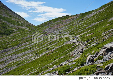 荒川小屋から赤石岳への登山道を歩く登山者 荒川小屋から赤石岳への登山道を歩く登山者 66397225