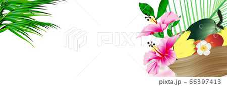 ハイビスカスと夏のフルーツバスケットのイラストバナー素材 66397413