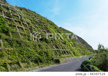 草の生えた擁壁と青空　 66397526
