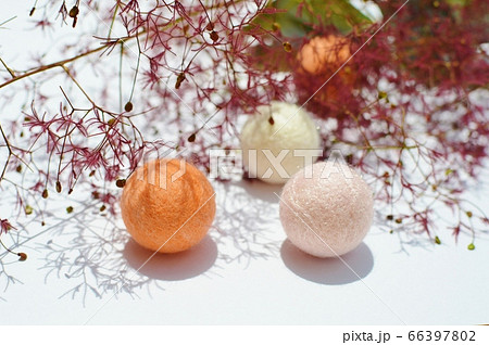 紫色のスモークツリーの花柄とフェルトのボール 紫色のスモークツリーの花柄とフェルトのボール 66397802