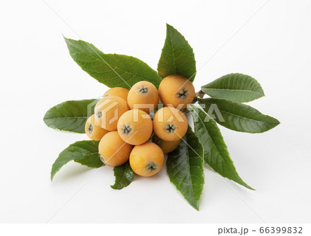 びわ びわ 66399832