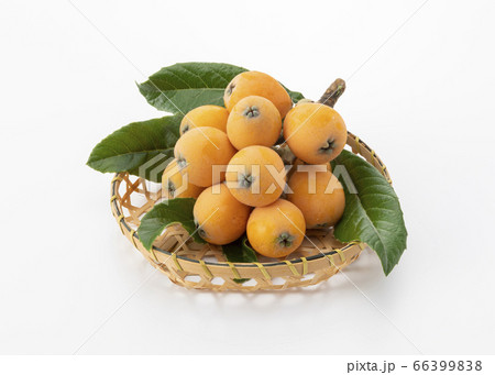 びわ びわ 66399838