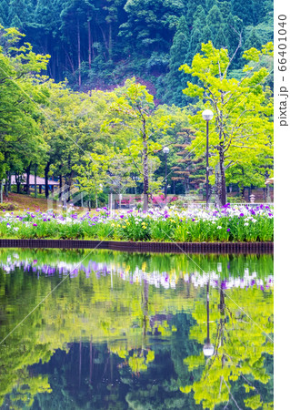 F10油絵 長野初夏風景 F10油絵 長野初夏風景 F10油絵 長野初夏風景 楽天