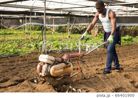 African man plowing ground with cultivator 66401900