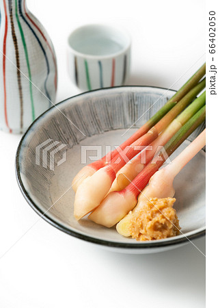 谷中生姜 66402050