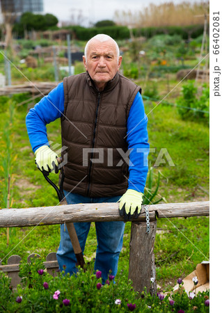 Tired senior man with hoe in kitchen garden Tired senior man with hoe in kitchen garden 66402081
