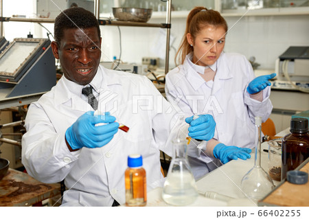 Male scientist with test tubes checking for result of chemical experiment Male scientist with test tubes checking for result of chemical experiment 66402255