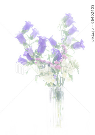 フラワーアレンジメント　ソフトフォーカス 66402405