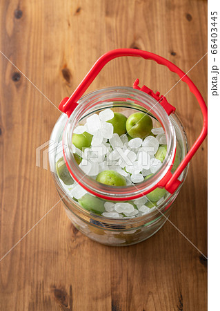 自家製梅シロップを作る 自家製梅シロップを作る 66403445