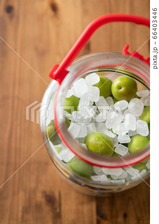 自家製梅シロップを作る 66403446