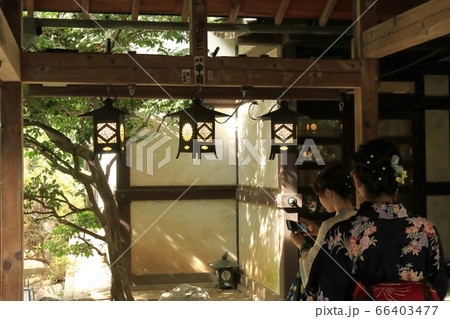神社仏閣　参拝　お参り 66403477