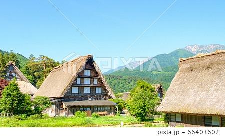 初夏の白川郷（朝） 66403602