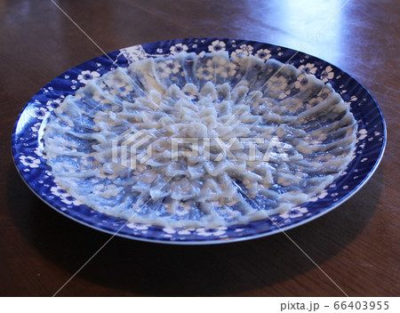 目にも美しいフグ刺しの菊盛り 目にも美しいフグ刺しの菊盛り 66403955