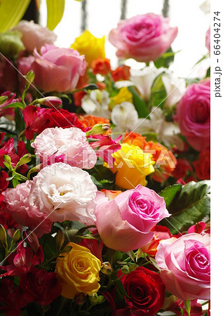 花瓶に生けた薔薇の花の写真素材