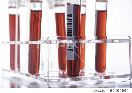 Studio shot of Covid-19 blood samples in test tube rack 66404644