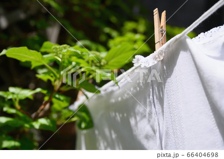 White tablecloth drying on clothesline at green leaves White tablecloth drying on clothesline at green leaves 66404698