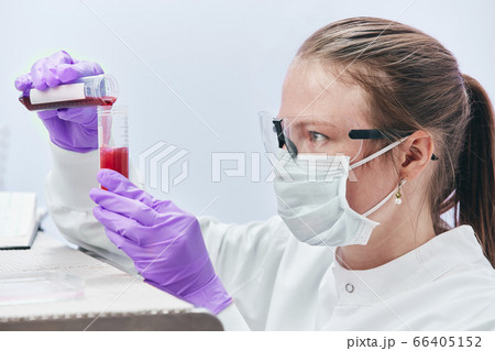 Female technician pouring liquid into vial 66405152