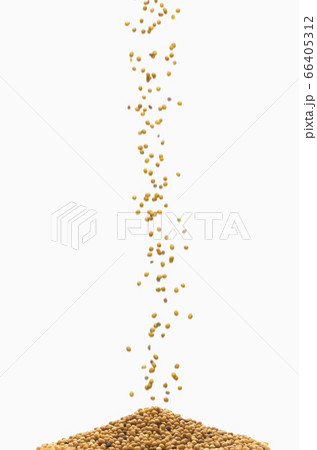 Heap of mustard seeds Heap of mustard seeds 66405312