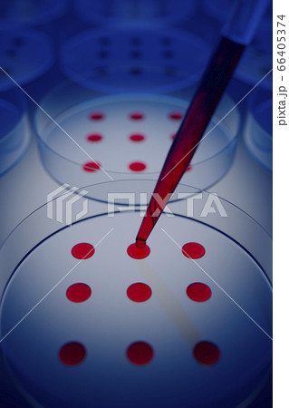 Blood sample tested on petri dish in laboratory 66405374