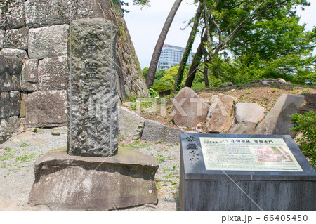 神奈川県　小田原城　常盤木門（ときわぎもん） 66405450