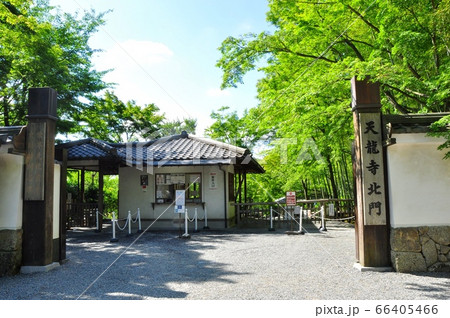 京都の町並み　天龍寺北門と拝観受付と新緑 66405466