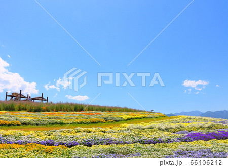 松本の花フェスタ その06 花と植物が織りなす色紙 その06の写真素材