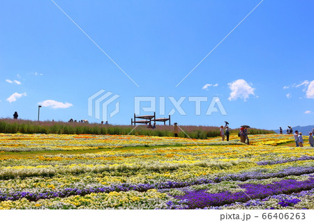 松本の花フェスタ　その2006　　：　　花と植物が織りなす色紙　その2006 66406263