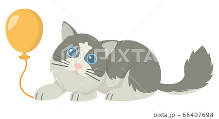 ネコ 猫 ねこ ラグドール Ragdoll 動物 イラストのイラスト素材