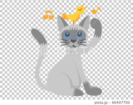 ネコ　猫　ねこ　シャムネコ　シャム猫　動物　イラスト 66407700