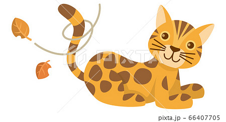 ネコ 猫 ねこ ベンガル ベンガルネコ 動物 イラストのイラスト素材