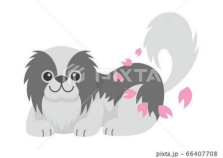 犬 いぬ イヌ dog チン ペット 動物 イラスト 犬 いぬ イヌ dog チン ペット 動物 イラスト 66407708