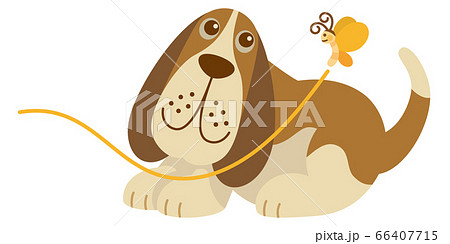 犬 いぬ イヌ バセットハウンド Dog ペット 動物 イラストのイラスト素材