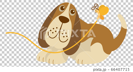 犬 いぬ イヌ バセットハウンド Dog ペット 動物 イラストのイラスト素材