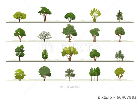 Collection of various green tree vector icon set 66407983