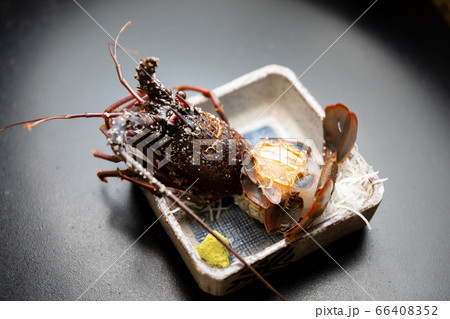 伊勢海老のお刺身 伊勢海老のお刺身 66408352