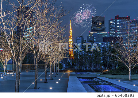 都市風景 芝浦中央公園から眺める東京タワーと花火 合成 都市風景 芝浦中央公園から眺める東京タワーと花火 合成 66408393